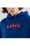 LEVI'S® Sweat à capuche T3 RELAXD GRAPHIC HOODIE Bleu